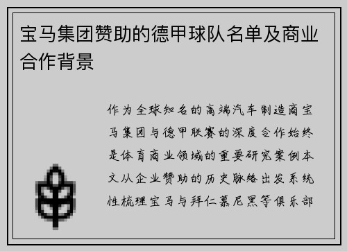 宝马集团赞助的德甲球队名单及商业合作背景